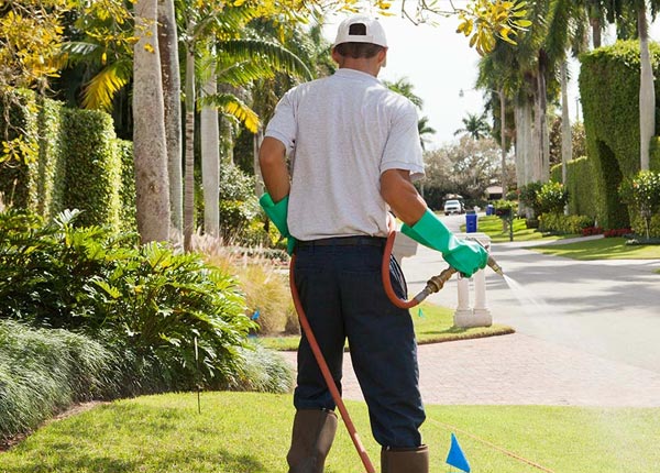 About South Sutton NH Pest Control Pros